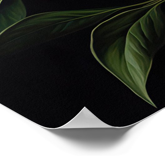 Witte Pioenrozen Bloemen Art Print Poster (Hoek)