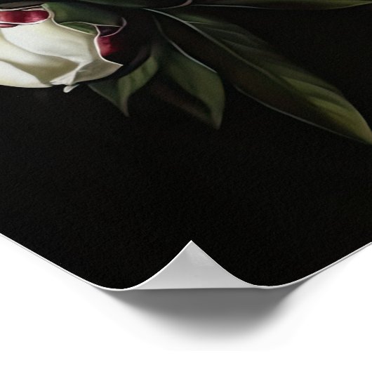 Witte Pioenrozen Bloemen Art Print Poster (Hoek)