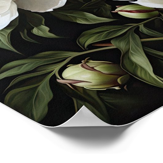 Witte Pioenrozen Bloemen Art Print Poster (Hoek)