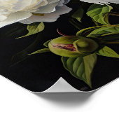 Witte Pioenrozen Bloemen Art Print Poster (Hoek)