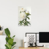 Witte Pioenrozen Bloemen Art Print Poster (Thuiskantoor)