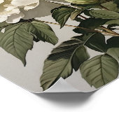 Witte Pioenrozen Bloemen Art Print Poster (Hoek)