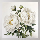 Witte Pioenrozen Bloemen Art Print Poster (Voorkant)