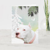Witte pitbull in de sneeuw feestdagen kaart (Voorkant)