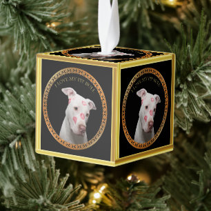 Witte pitbull met rode kussen over zijn gezicht. kubus ornament