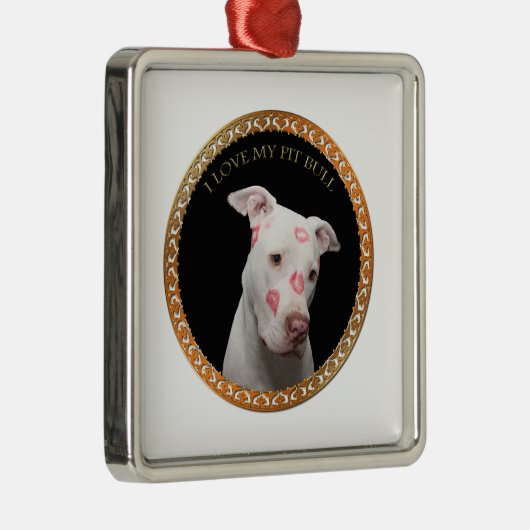 Witte pitbull met rode kussen over zijn gezicht. metalen ornament (Rechts)
