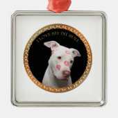 Witte pitbull met rode kussen over zijn gezicht. metalen ornament (Voorkant)