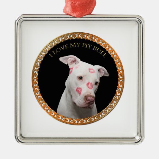Witte pitbull met rode kussen over zijn gezicht. metalen ornament (Voorkant)