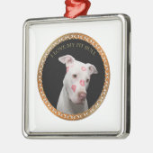 Witte pitbull met rode kussen over zijn gezicht. metalen ornament (Links)