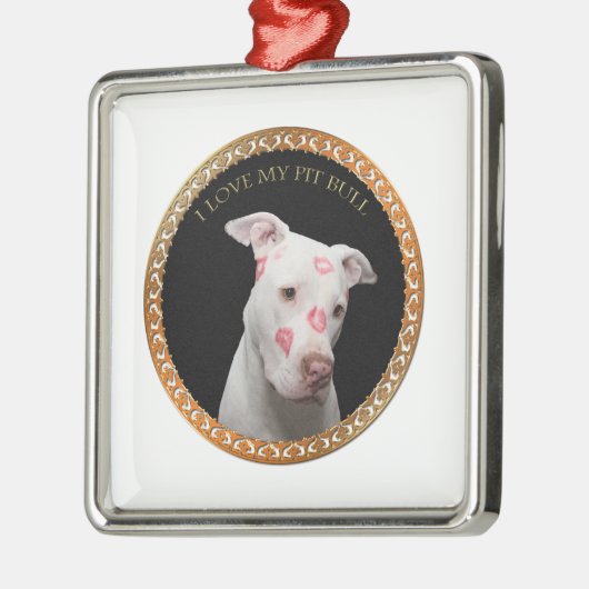 Witte pitbull met rode kussen over zijn gezicht. metalen ornament (Links)