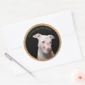 Witte pitbull met rode kussen over zijn gezicht. ronde sticker (Envelop)