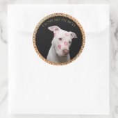 Witte pitbull met rode kussen over zijn gezicht. ronde sticker (Tas)
