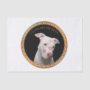 Witte pitbull met rode kussen over zijn gezicht. tissuepapier