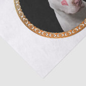 Witte pitbull met rode kussen over zijn gezicht. tissuepapier (Detail)