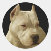 Witte pitbull stickers (Voorkant)