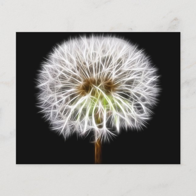Witte Plant van de Dandelion (Voorkant)