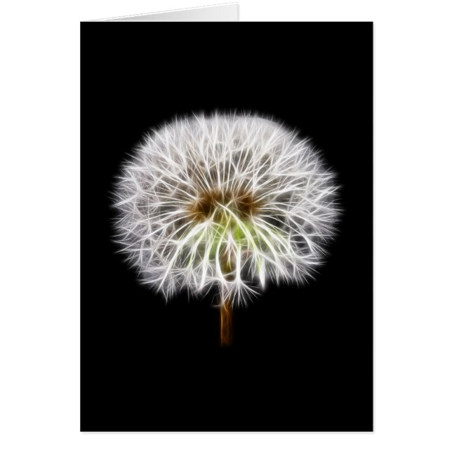 Witte Plant van de Dandelion (Voorkant)