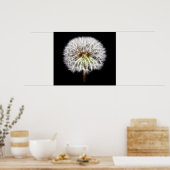Witte Plant van de Dandelion Poster (Keuken)
