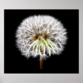 Witte Plant van de Dandelion Poster (Voorkant)