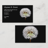 Witte Plant van de Dandelion Visitekaartje (Voorkant / Achterkant)