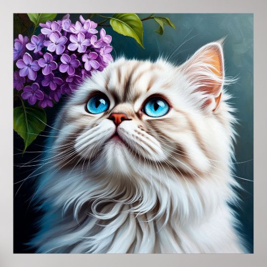 Witte pluizige kat met blauwe ogen poster (Voorkant)