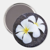 Witte Plumeria Bloem Frangipani Bloemen Lava Rock Magneet (Voorkant / Achterkant)