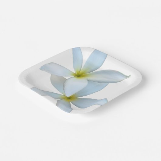 Witte Plumeria Blooms Papier Bord (Gebogen)