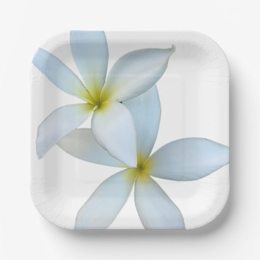 Witte Plumeria Blooms Papier Bord (Voorkant)