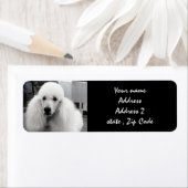 Witte poedel Adresetiketten Etiket (Insitu)