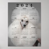 Witte Poedel Hond Fancy Kapsel Foto 2024 Kalender Poster (Voorkant)