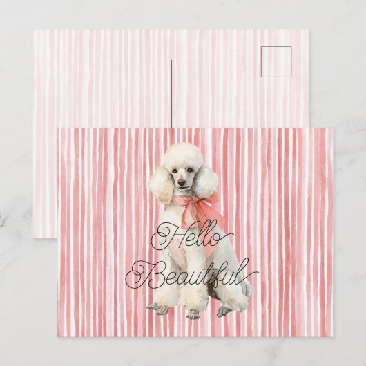 Witte Poedel Hond Hallo Mooi Briefkaart (Voorkant / Achterkant)