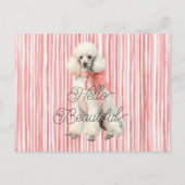 Witte Poedel Hond Hallo Mooi Briefkaart (Voorkant)