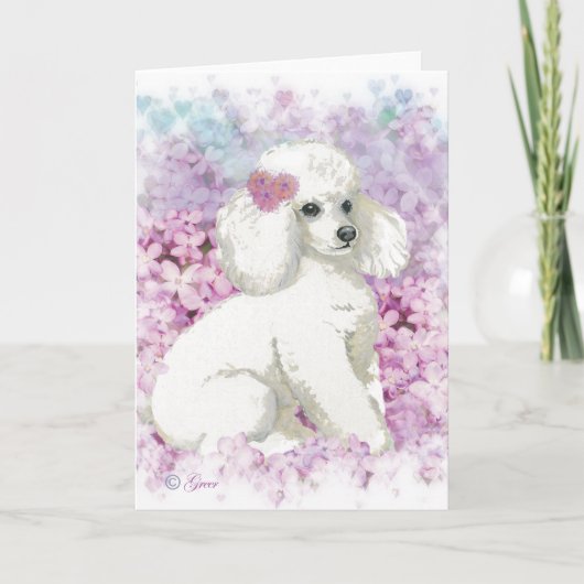 Witte Poedel in de Lilacs Art Print Kaart (Voorkant)