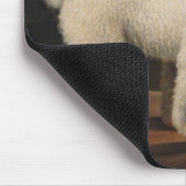 Witte poedel in een punter (door George Stubbs) Muismat (Hoek)