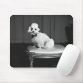 Witte poedel op de spoel B&W Muismat (Met muis)