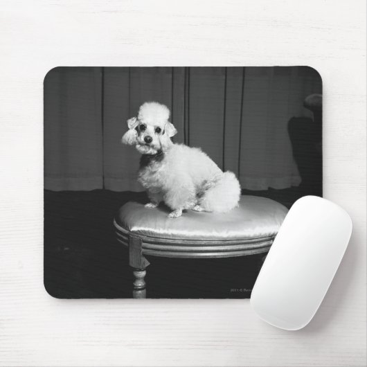 Witte poedel op de spoel B&W Muismat (Met muis)