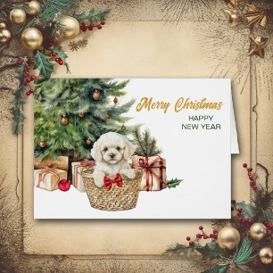Witte Poedel Puppy Hond Rieten Mand Kerstmis