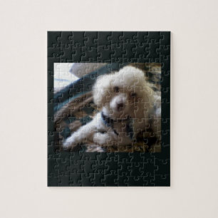Witte poedel puzzel