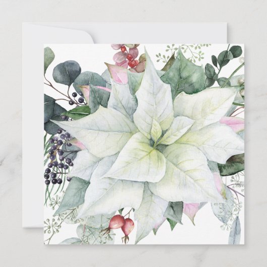 Witte Poinsettia Feestelijke Bloemen Kerstfeest Kaart (Achterkant)