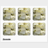 Witte poinsettia grote vierkante Sticker (Vel)