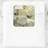 Witte poinsettia grote vierkante Sticker (Tas)