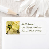 Witte Poinsettia Mailing Label (Insitu)