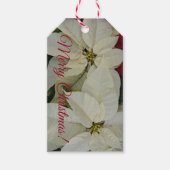 witte poinsettias Holiday Cadeaulabel (Voorkant)
