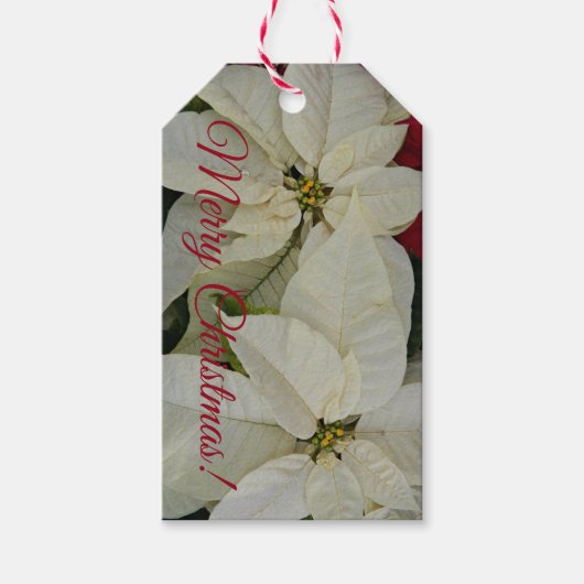  witte poinsettias Holiday Cadeaulabel (Voorkant)