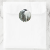 Witte Polar Beren Sticker (Tas)