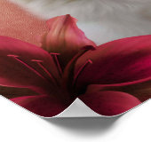 Witte pommeraanse hond Lily Flowers Animal Art Poster (Hoek)