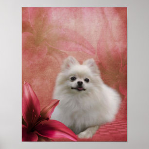 Witte pommeraanse hond Lily Flowers Animal Art Poster