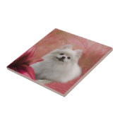 Witte pommeren hond bloemen tegeltje (Zijkant)