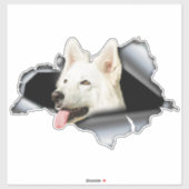 Witte Pommeren sticker, autoval, Pommeren Sticker (Vel)