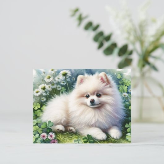 Witte Pommerse Hondenklaverveld Waterverf Briefkaart (Staand voorkant)